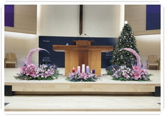 강단꽃꽂이(12.15)