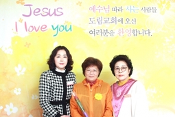 11/24 손석화