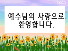 최미순