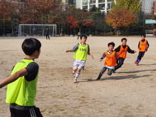 도림FC(11. 23)