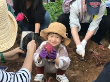 2기 도림아기학교 (10.19)